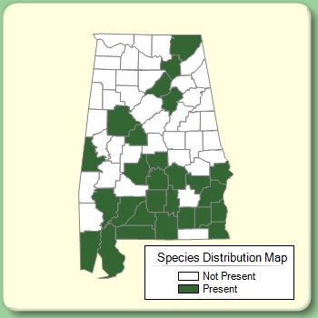 Species Distribution Map