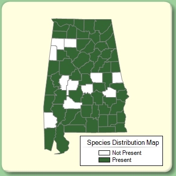 Species Distribution Map