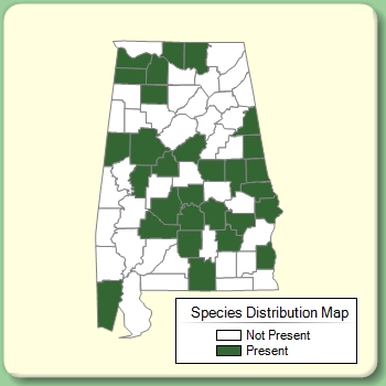 Species Distribution Map