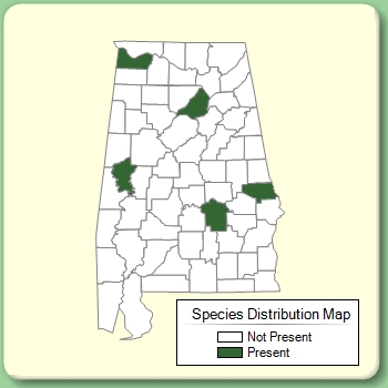 Species Distribution Map