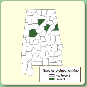 Species Distribution Map