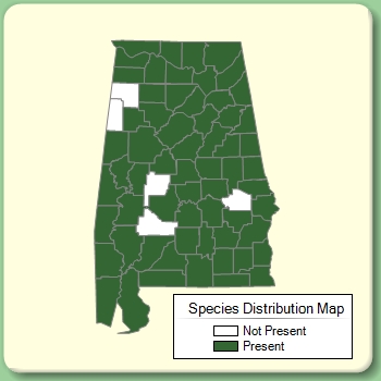 Species Distribution Map