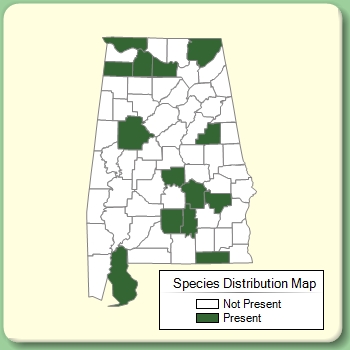 Species Distribution Map