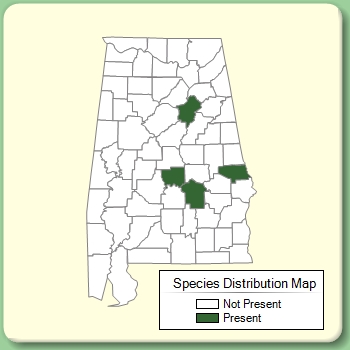 Species Distribution Map