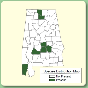 Species Distribution Map