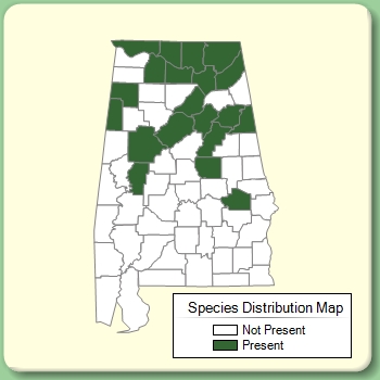 Species Distribution Map