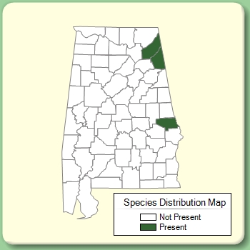 Species Distribution Map