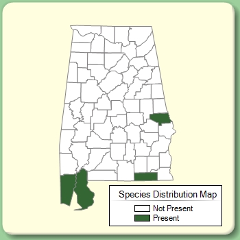 Species Distribution Map