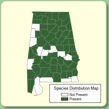 Species Distribution Map