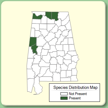 Species Distribution Map