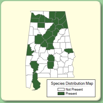 Species Distribution Map