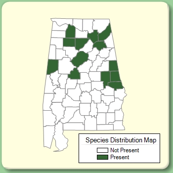 Species Distribution Map