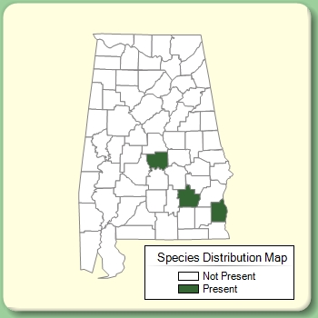 Species Distribution Map