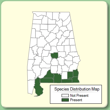 Species Distribution Map