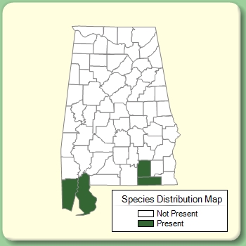 Species Distribution Map