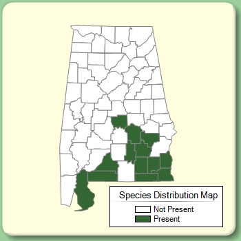 Species Distribution Map