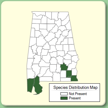 Species Distribution Map