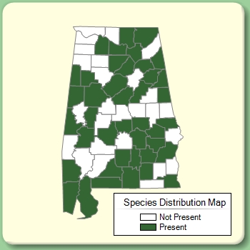 Species Distribution Map