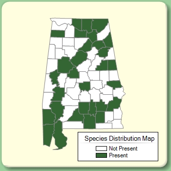 Species Distribution Map