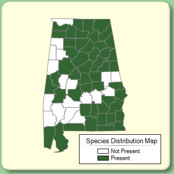 Species Distribution Map