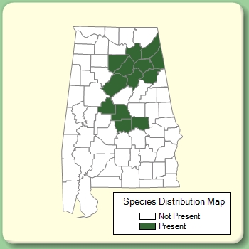 Species Distribution Map