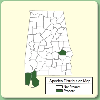 Species Distribution Map