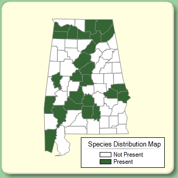 Species Distribution Map