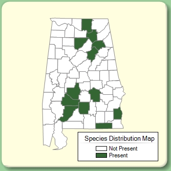 Species Distribution Map