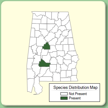 Species Distribution Map