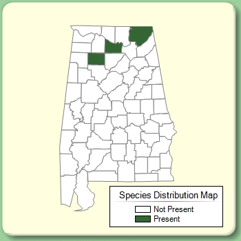 Species Distribution Map