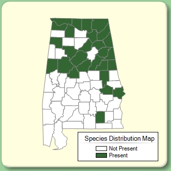 Species Distribution Map