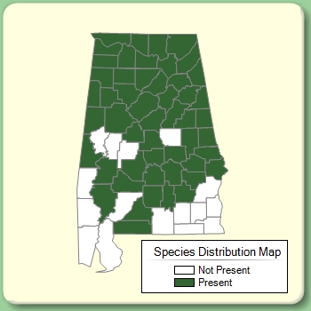 Species Distribution Map