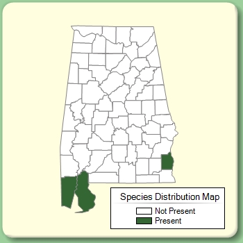 Species Distribution Map