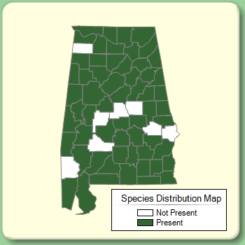 Species Distribution Map