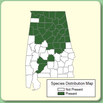 Species Distribution Map