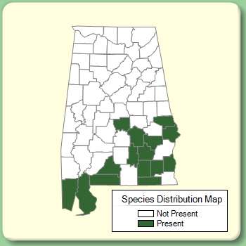 Species Distribution Map