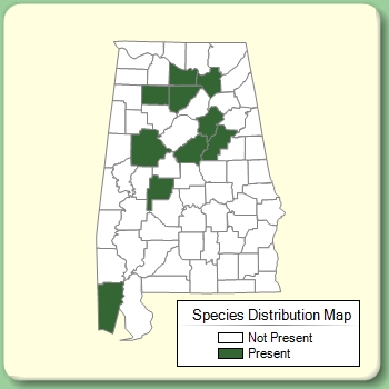 Species Distribution Map