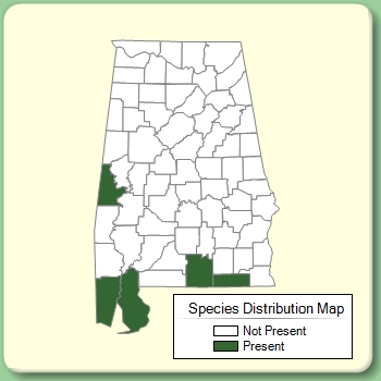 Species Distribution Map