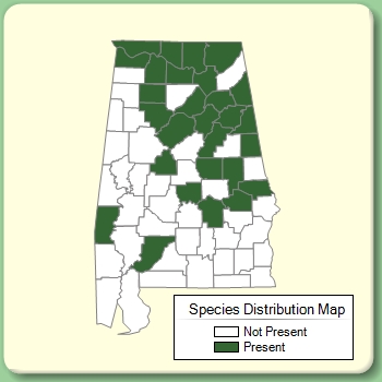 Species Distribution Map