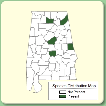 Species Distribution Map