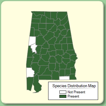 Species Distribution Map