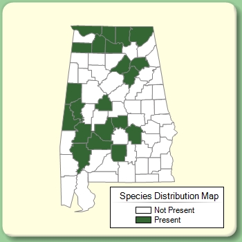 Species Distribution Map