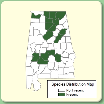 Species Distribution Map