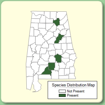 Species Distribution Map