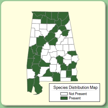 Species Distribution Map