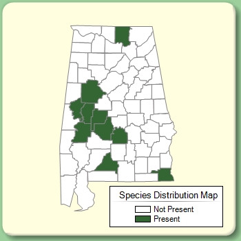 Species Distribution Map