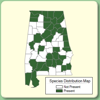 Species Distribution Map