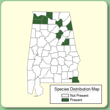 Species Distribution Map