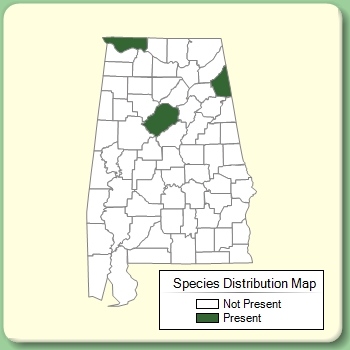 Species Distribution Map