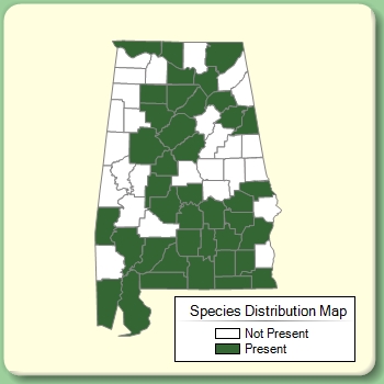 Species Distribution Map